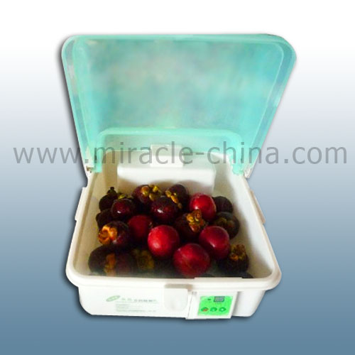 Fruit and Vegetable Disinfection Machine MGS-01